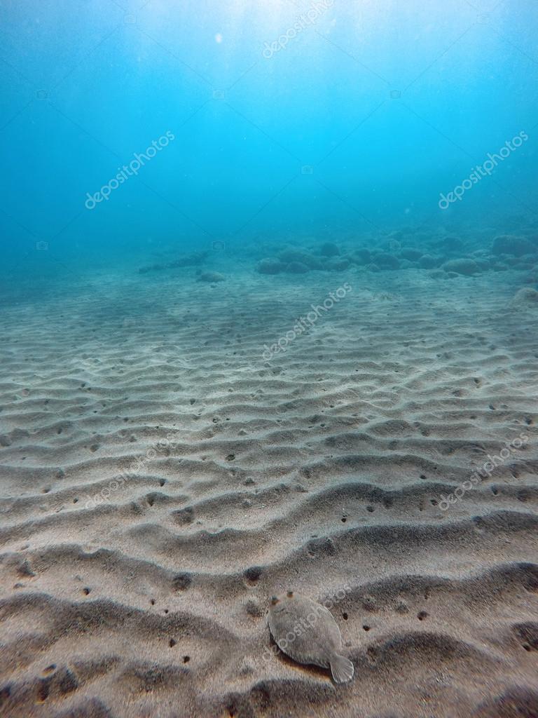 Sand Dunes On The Sea Floor Stock Photo C Mike Kiev 119500790