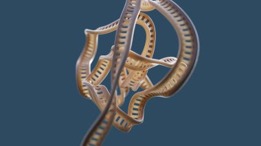 DNA molekülü hareket halinde