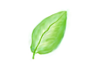 yeşil yaprak, resim çizimi