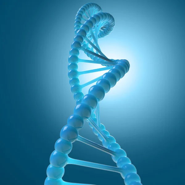 DNA分子モデル — ストック写真