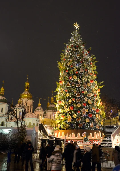 Aan de vooravond van Nieuwjaar 2016 in Kiev — Stockfoto