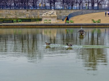 Parklar ve sokakları