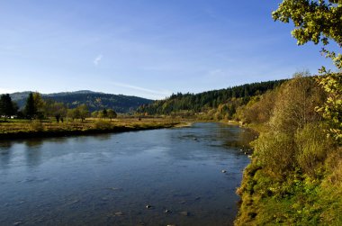 nehir Stry Karpatlar. 