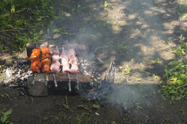 Shish kebab en pinchos — Foto de Stock