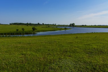Bir özel evde biblo