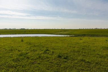 Bir özel evde biblo