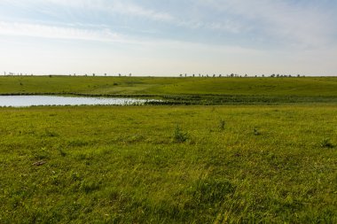 Bir özel evde biblo