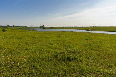 Bir özel evde biblo