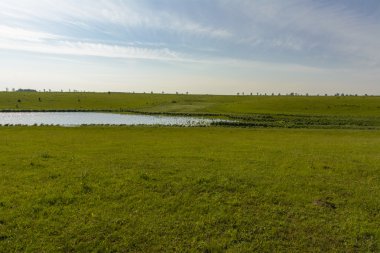 Bir özel evde biblo