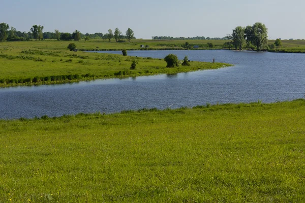 Bir özel evde biblo