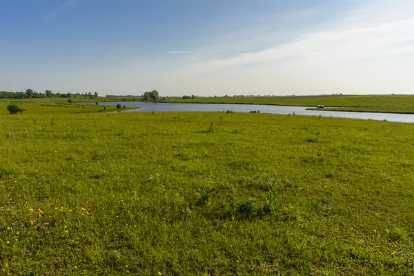Bir özel evde biblo