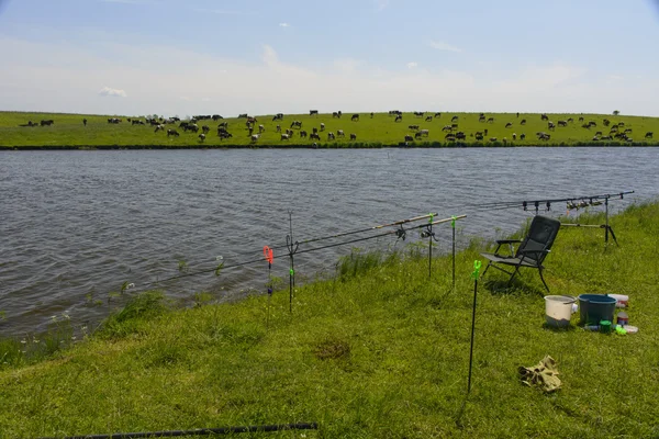 Рыбалка в частном озере — стоковое фото