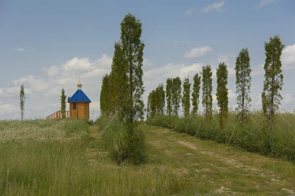 Monastère de Notre-Dame de Kazan . — Photo