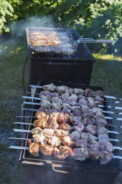 Domuz bir özel evin bahçesinde niteliğine