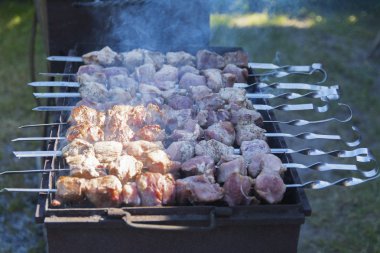 Domuz bir özel evin bahçesinde niteliğine