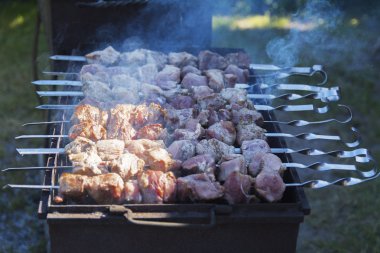 Domuz bir özel evin bahçesinde niteliğine