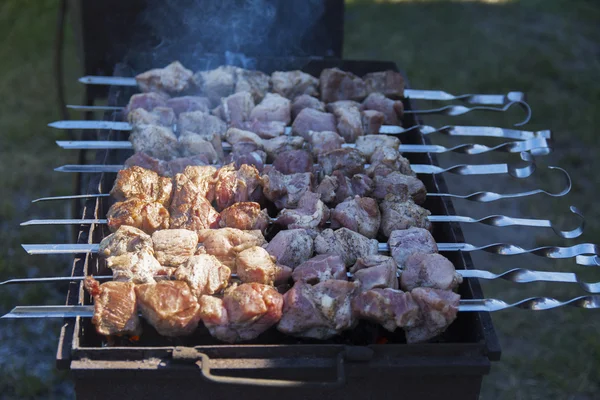 Domuz bir özel evin bahçesinde niteliğine