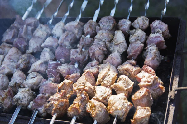 Domuz bir özel evin bahçesinde niteliğine