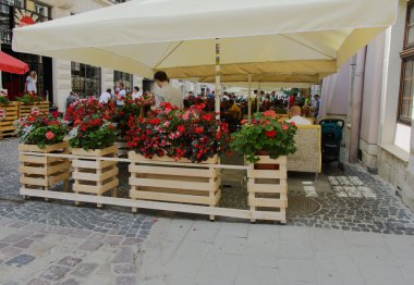 Tencere sokaklarda çiçeklenir. Tasarım, decoration.