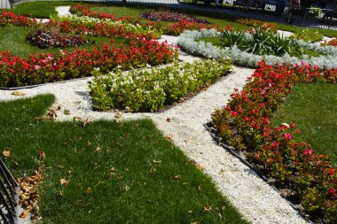 Lviv şehir parkında bir çiçek yatak