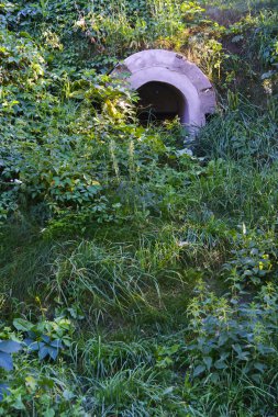 Köyün eteklerinde bir alanda eski terk edilmiş boru