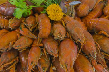 Yeşiller'de bir tabloda özel bir kafe ile kanserler