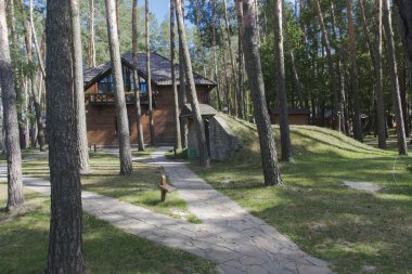 Yaz aylarında çam ormanı içinde ahşap kabin