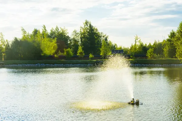 La fontana sul lago. Divertimento in famiglia e pesca — Foto Stock