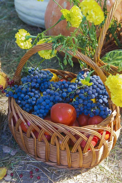 Artesanías expertas. Frutas y hortalizas en la feria — Foto de Stock
