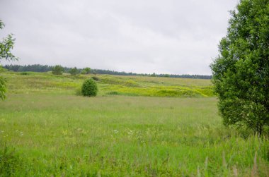 Muhteşem sıcak yaz kokuları