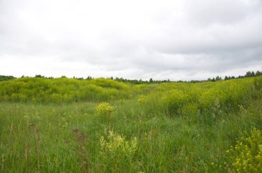 Muhteşem sıcak yaz kokuları