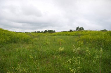 Muhteşem sıcak yaz kokuları