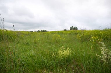 Muhteşem sıcak yaz kokuları