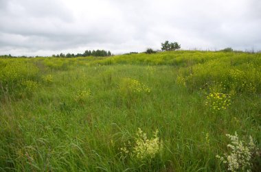 Muhteşem sıcak yaz kokuları