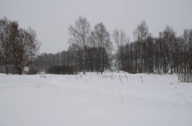 Kışın doğa bulutlu havada