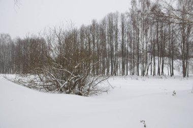Kışın doğa bulutlu havada
