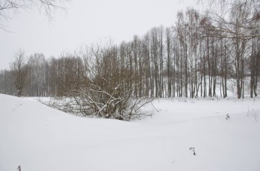 Kışın doğa bulutlu havada