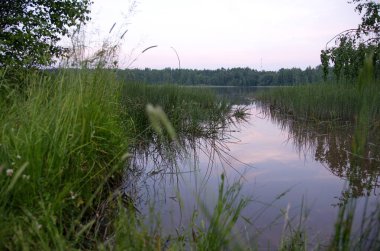 Yaz manzarasının güzelliği