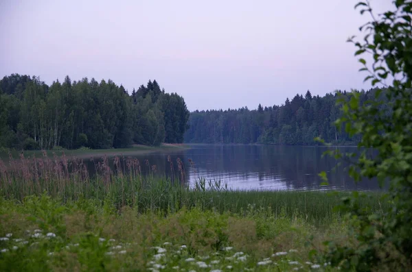 Piękno Letniego Krajobrazu — Zdjęcie stockowe