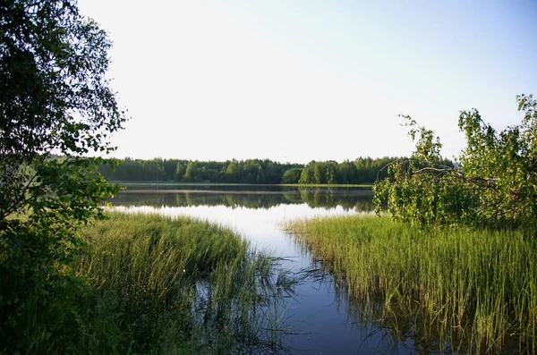 Skönheten Sommarlandskapet — Stockfoto