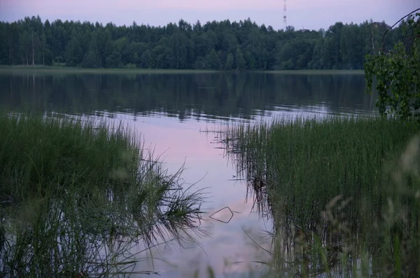 Skönheten Sommarlandskapet — Stockfoto