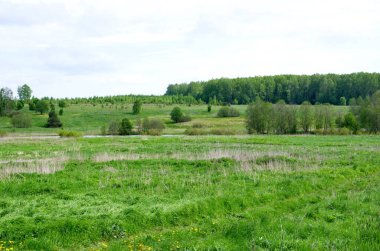 Nehir ve orman olan bir tarla manzarası