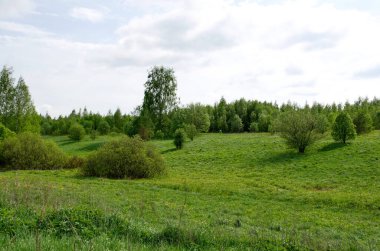 Ağaçlı ve tepeli yaz tarlası