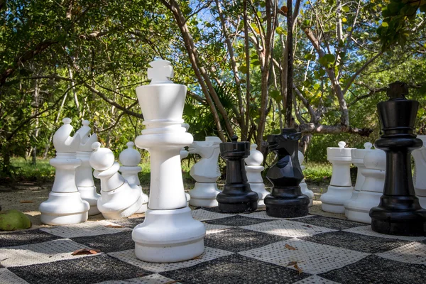 Büyük açık Satranç Seti