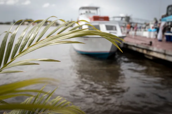 Palmiye yaprak tekne Dock