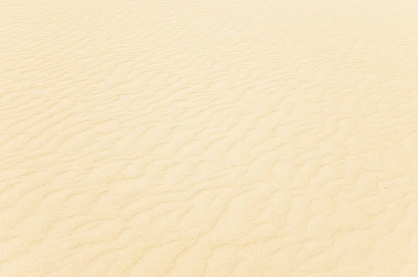 Vlnky v písku — Stock fotografie