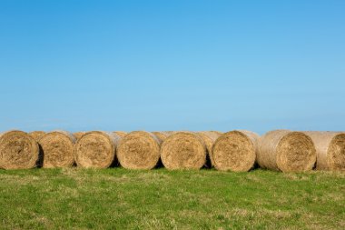 Saman balya öğleden sonra güneş