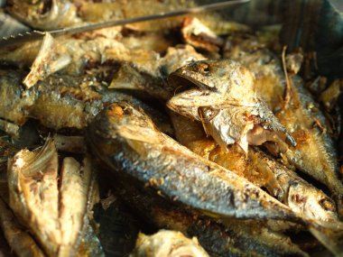 Yakın plan kızarmış uskumru balığı. Tayland 'ın en popüler balık menüsü..