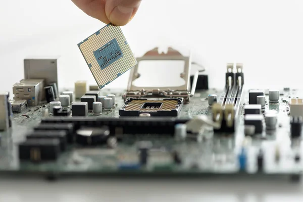 Mano Humana Está Instalando Procesador Placa Base — Foto de Stock