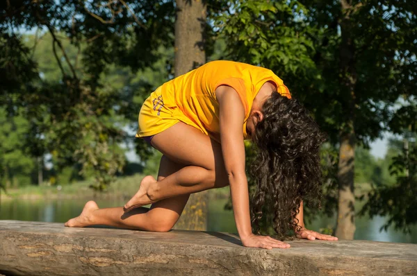 Hermosa joven realizando ejercicios de yoga — Foto de Stock